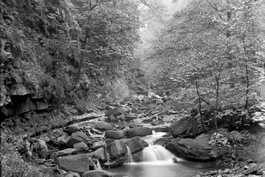 Colden Valley