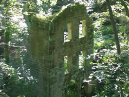Staups Mill